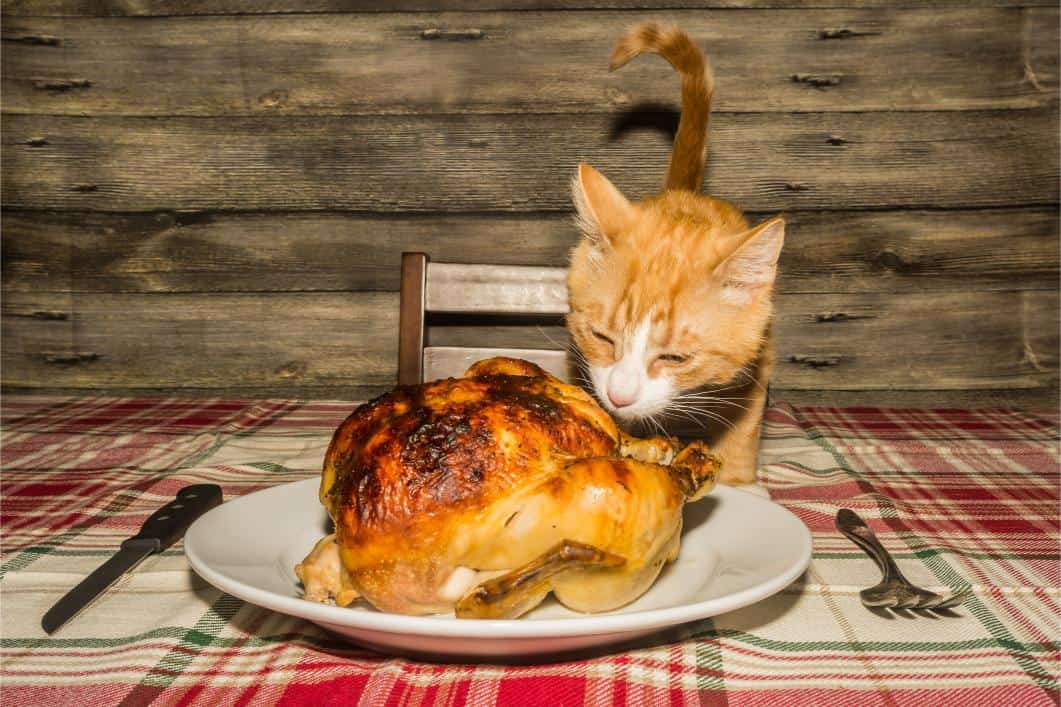 Pet-Safe Thanksgiving 